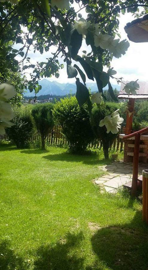Вилла Agrotatry U Stachy Буковина-Татшаньска Экстерьер фото