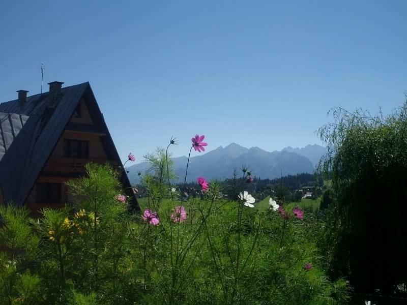 Вилла Agrotatry U Stachy Буковина-Татшаньска Экстерьер фото
