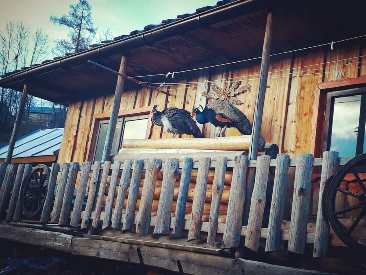 Вилла Agrotatry U Stachy Буковина-Татшаньска Экстерьер фото